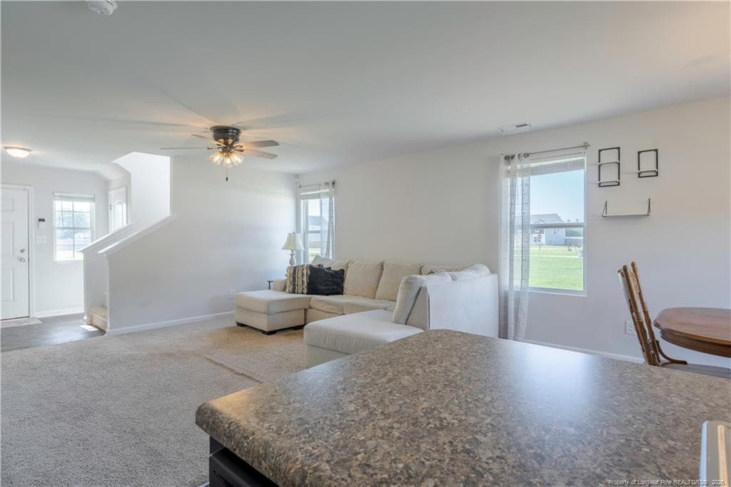 Photo 9 - 51 Merlin Court, Godwin, NC 28344