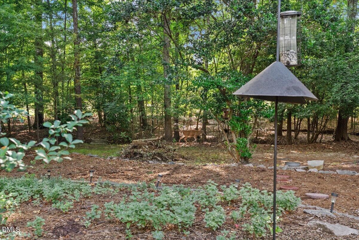 13-DSC06447 - 5100 Bambi Court, Wake Forest, NC 27587