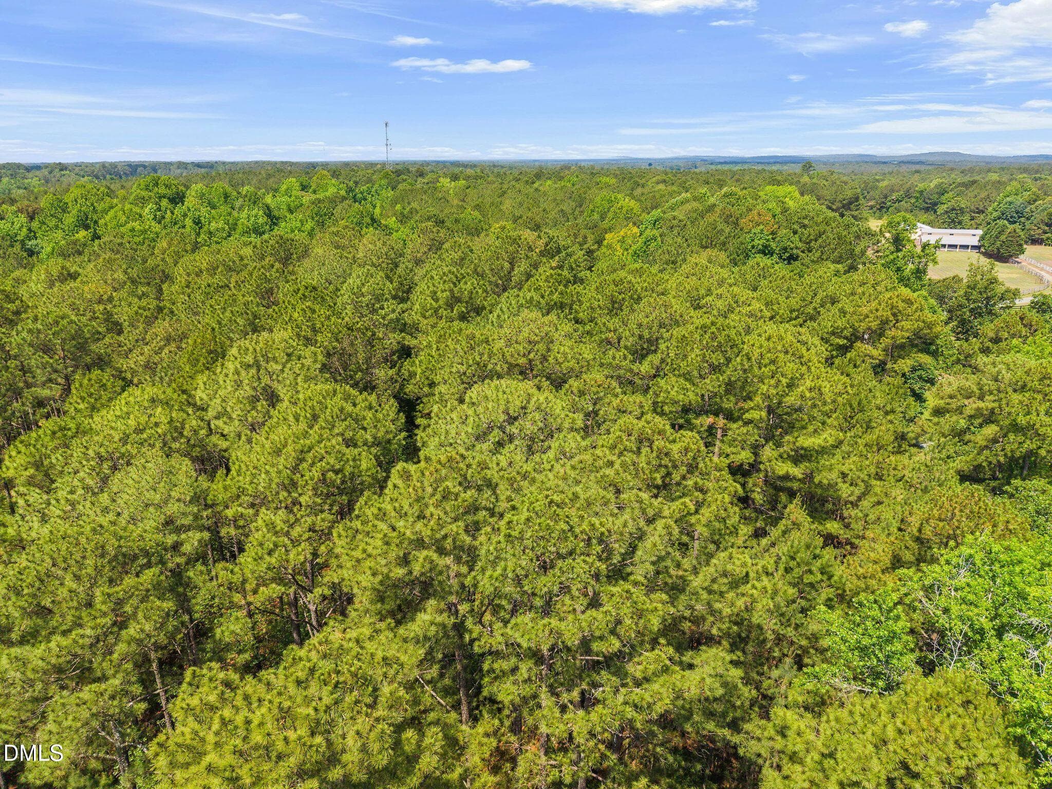 DJI_20260622082449_0621_D - 87 Masonry Lane, New Hill, NC 27562, New Hill
