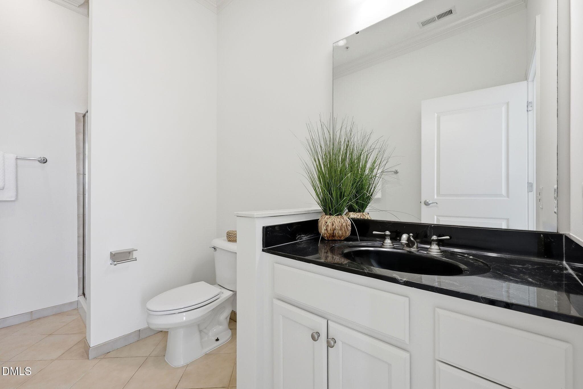 Second Full Bath - 317 W Morgan Street 504, Raleigh, NC 27601, Raleigh