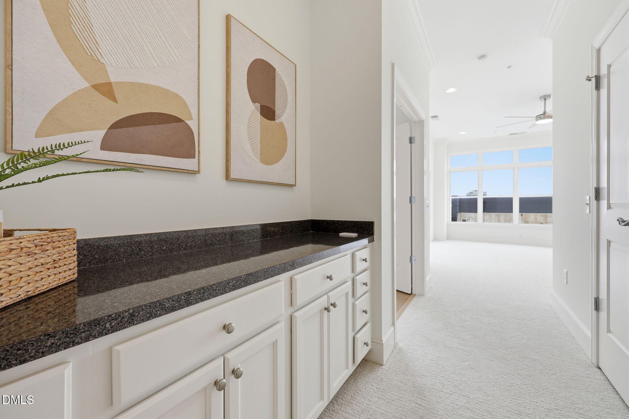 Hallway Master - 317 W Morgan Street 504, Raleigh, NC 27601, Raleigh