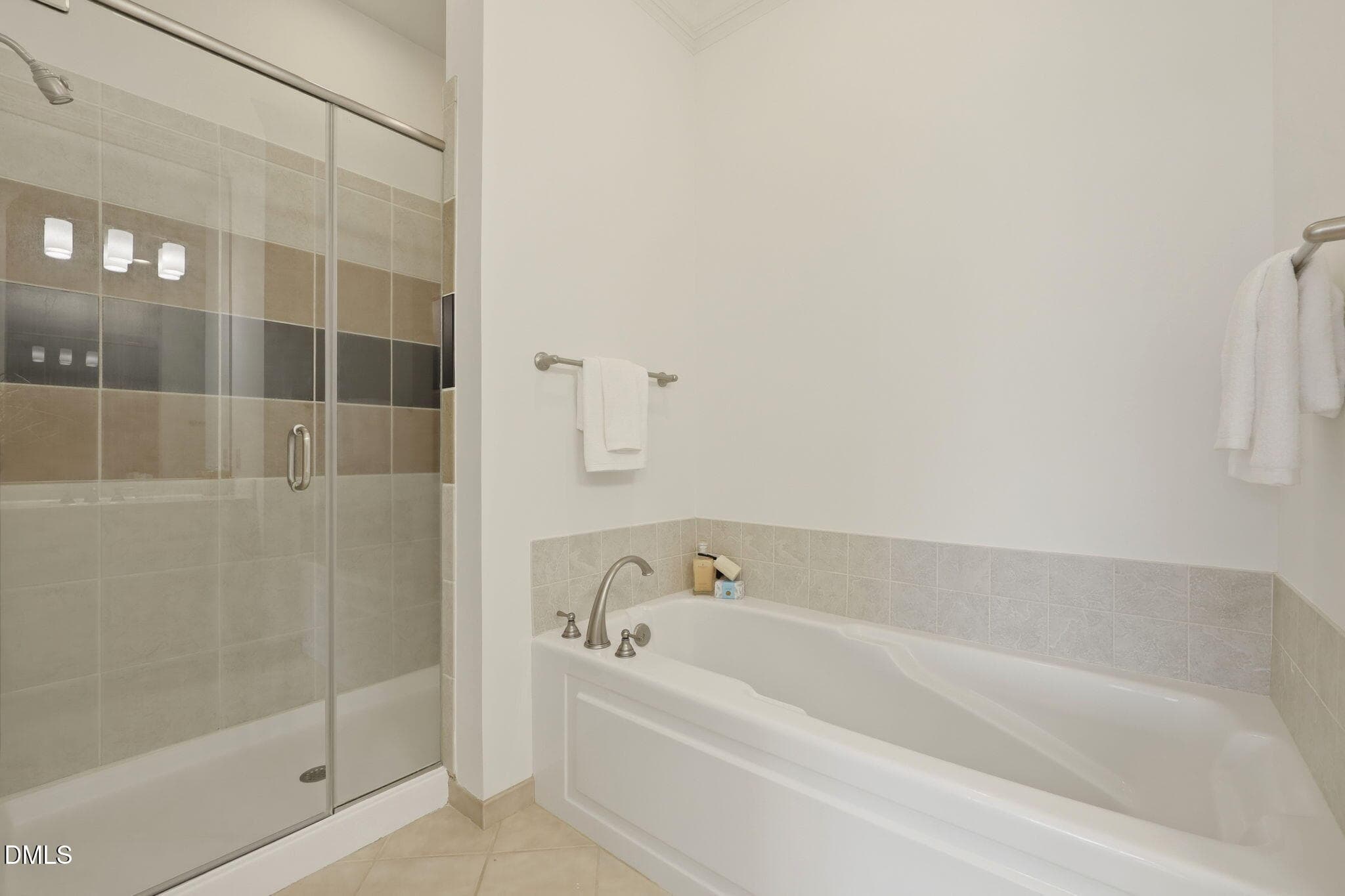 Master Bath Tub: Shower - 317 W Morgan Street 504, Raleigh, NC 27601, Raleigh