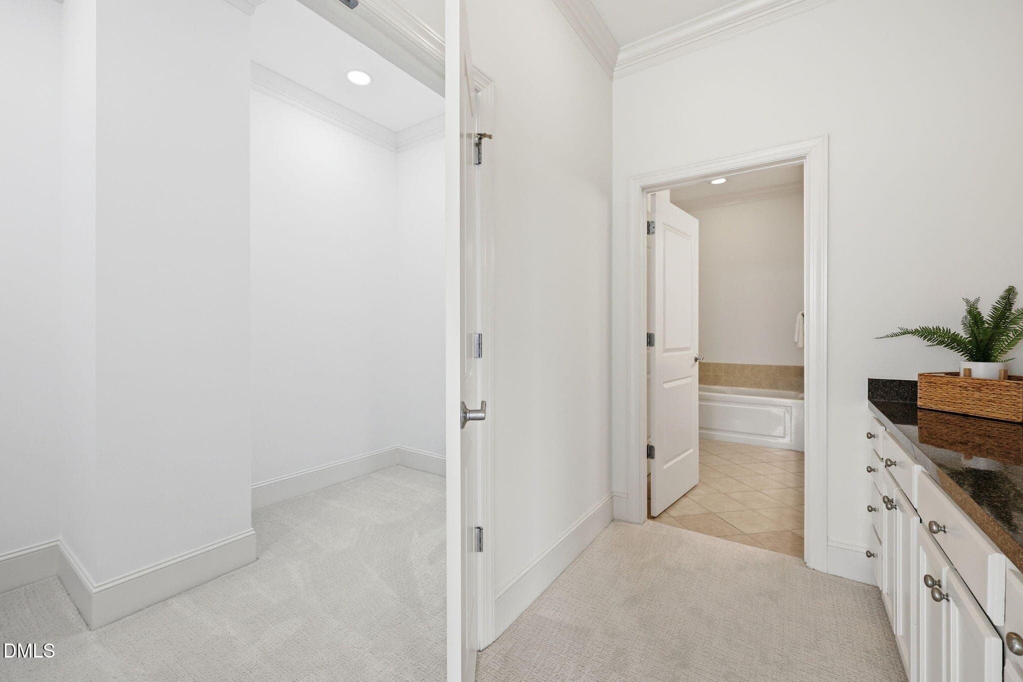 Master Hall: Closet to Bath - 317 W Morgan Street 504, Raleigh, NC 27601, Raleigh
