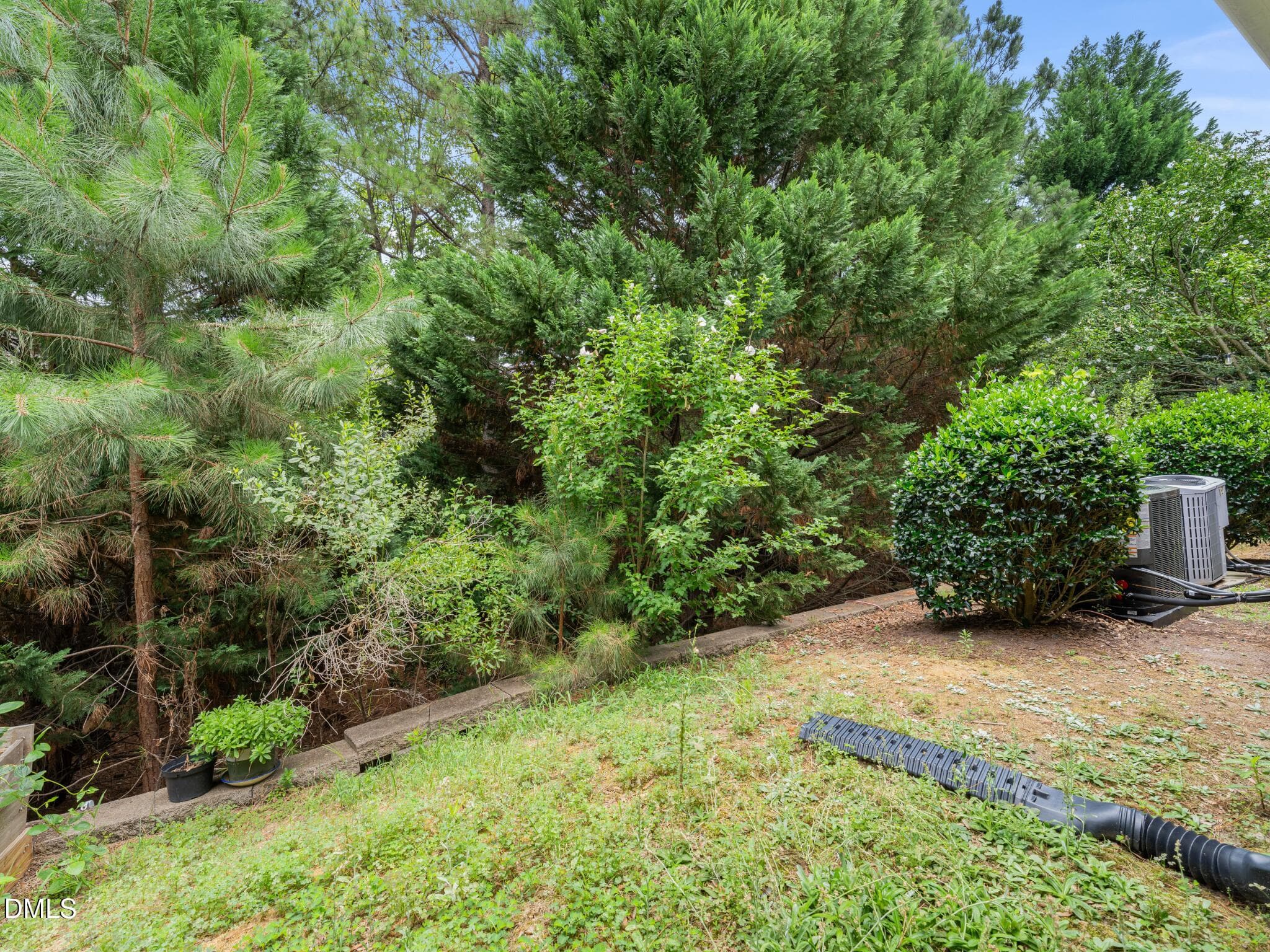 Green Space in Back - 204 Lone Star Way, Cary, NC 27519, Cary