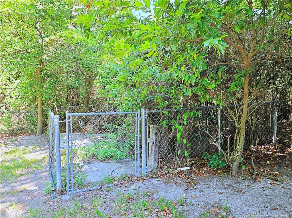 Photo 49 - 4122 Mill Bridge Road, Hope Mills, NC 28348