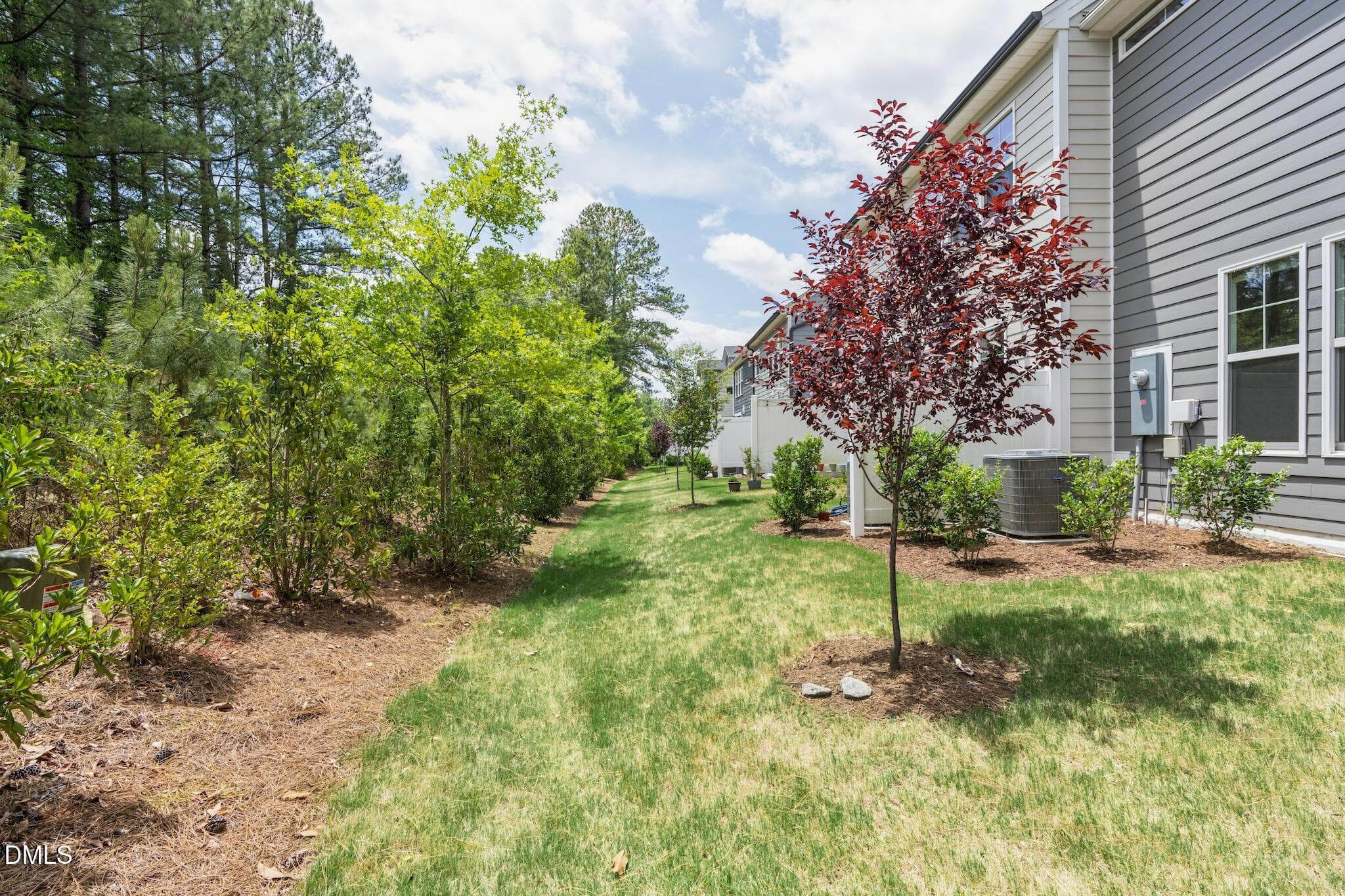 DSC06077 - 8015 Windthorn Place, Cary, NC 27519, Cary
