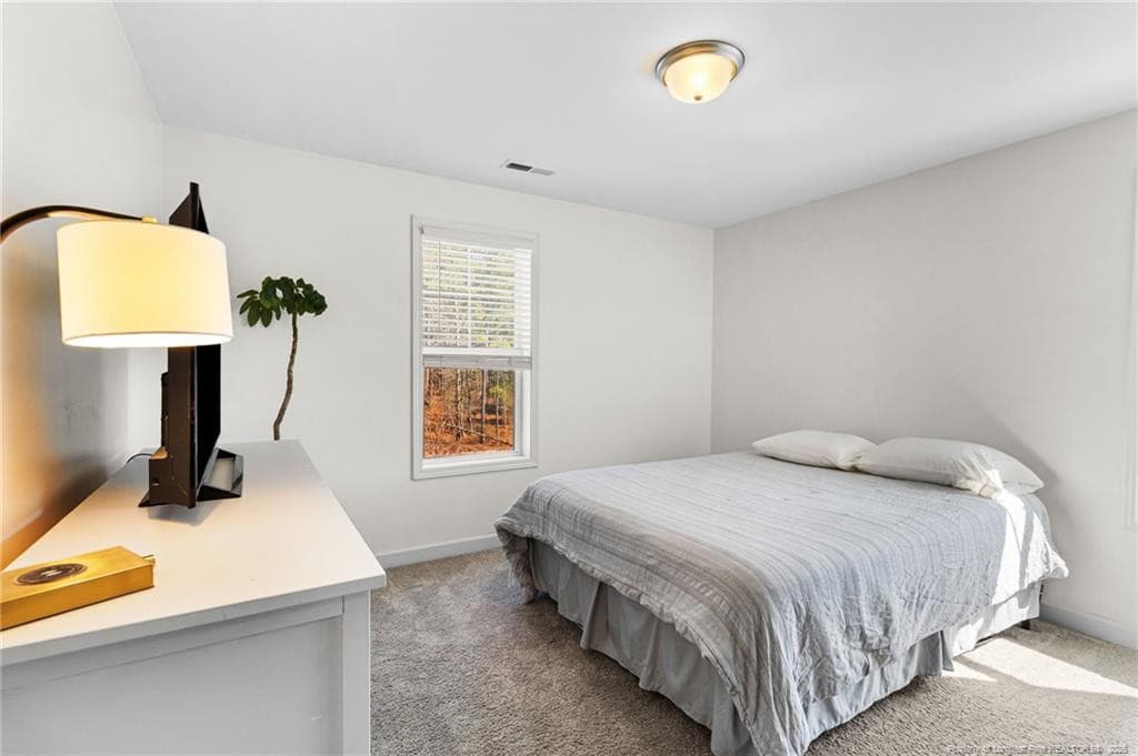 Photo 25 - 84 Rainy Beck Way, Erwin, NC 28339