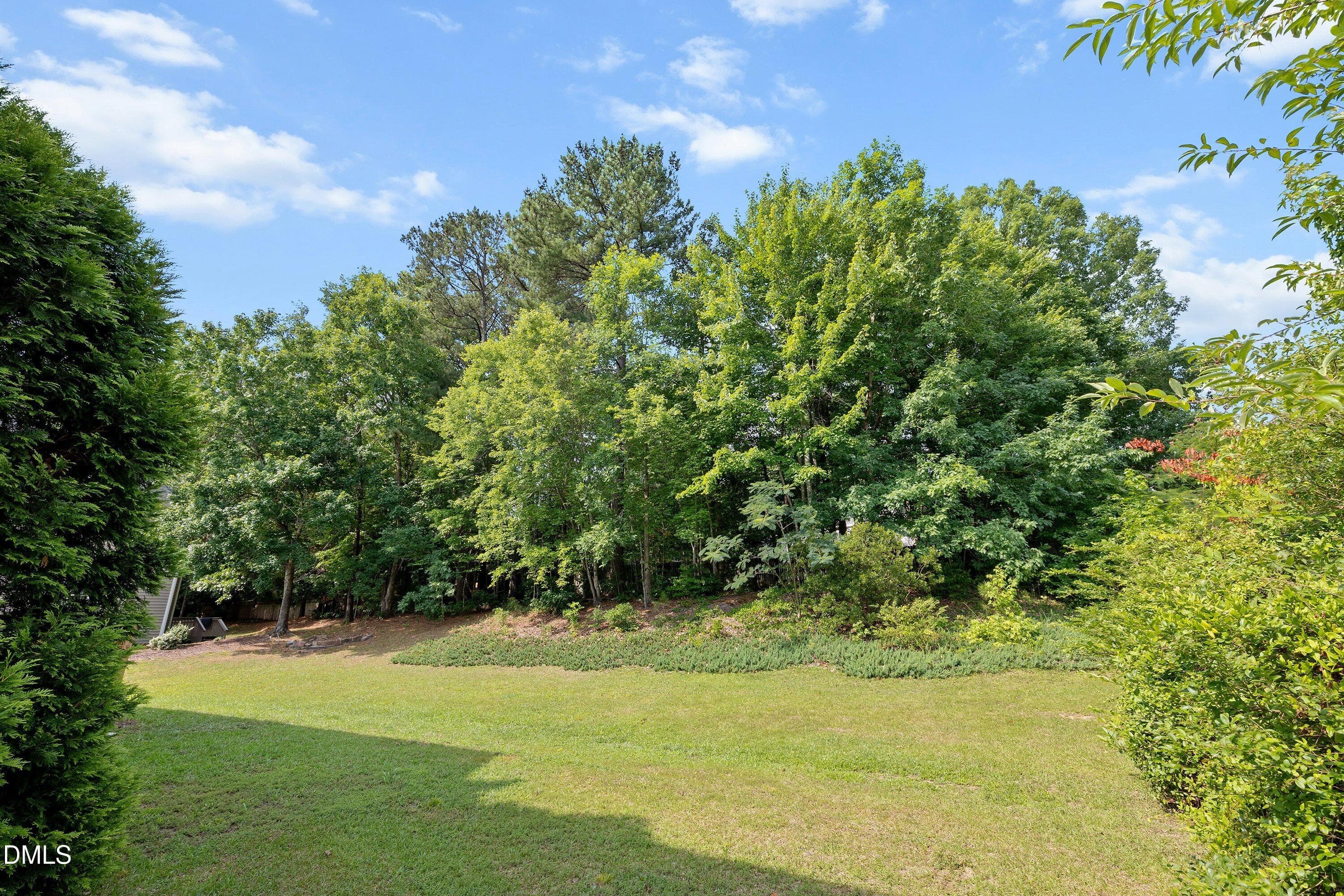 51-3528 Dewing 118 Temple_4995 - 3528 Dewing Drive, Raleigh, NC 27616, Raleigh