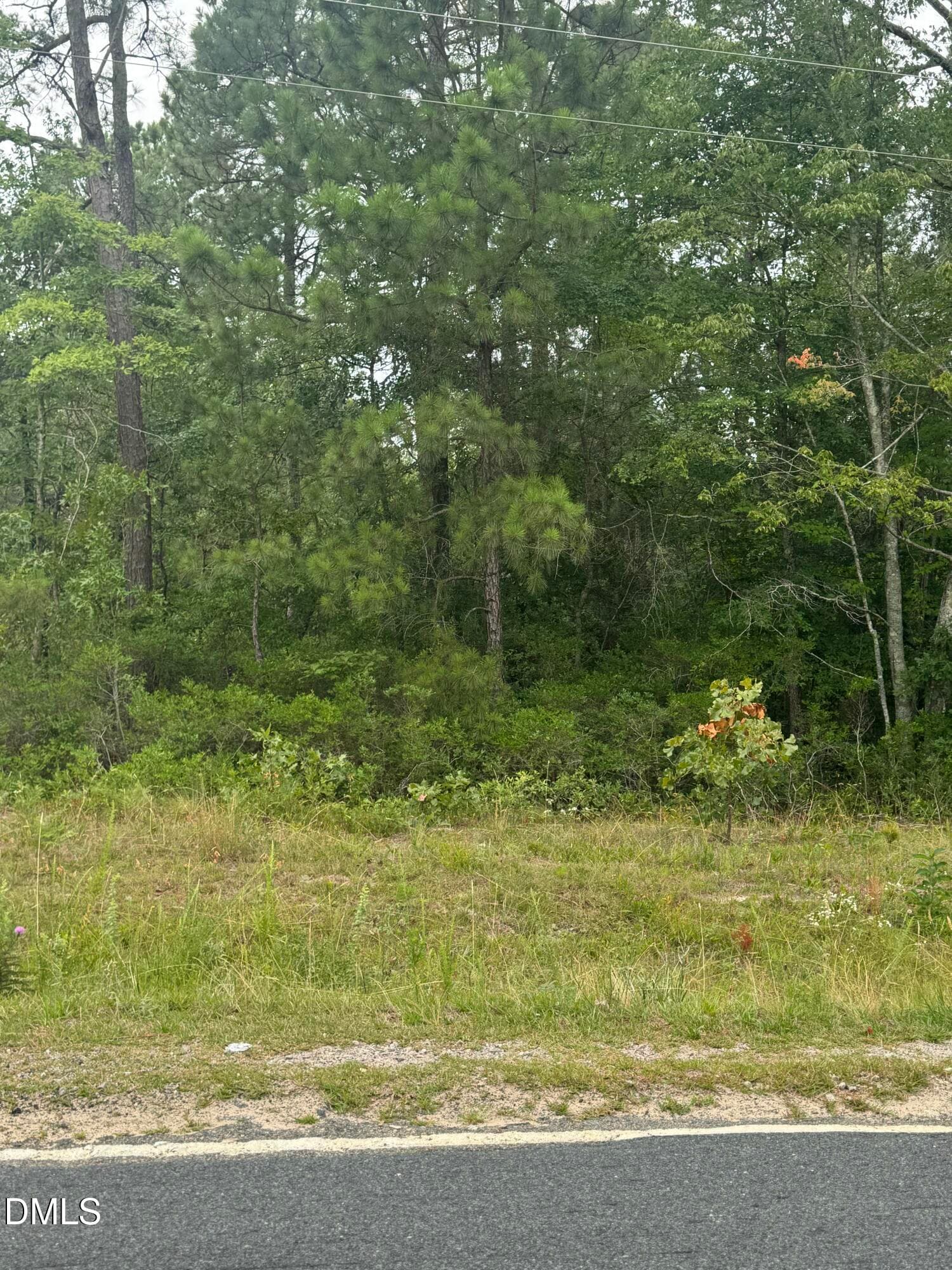 202CF49C-ADB3-4CE1-AE21-494C8F77E719 - 439 Needmore Road, Cameron, NC 28326