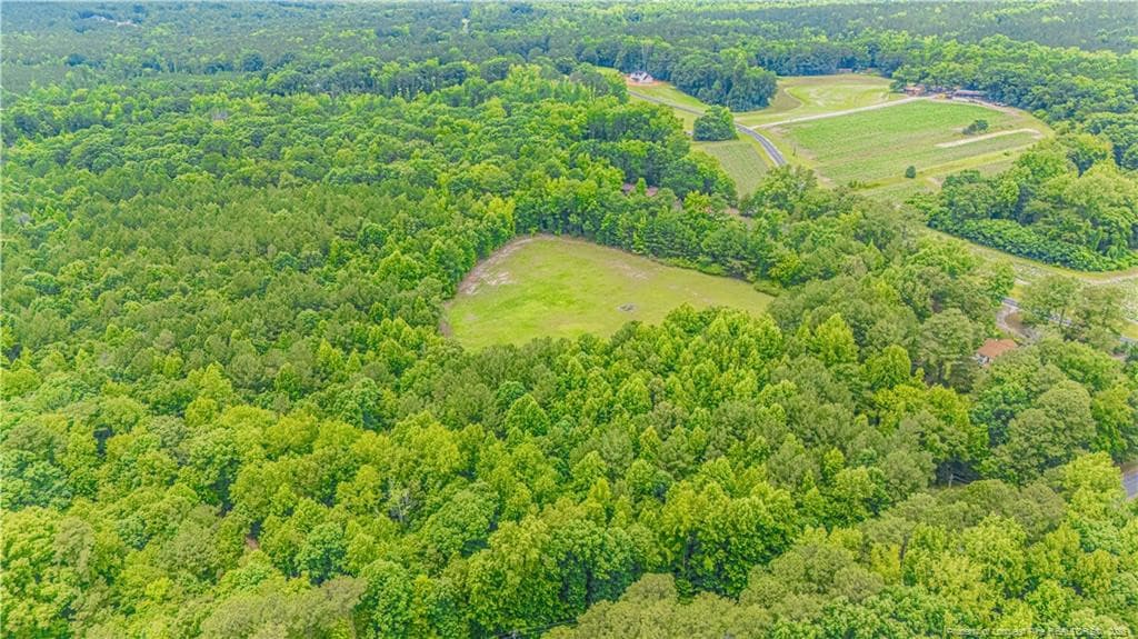 Photo 4 - 140 Hardy Road, Carthage, NC 28327, Carthage