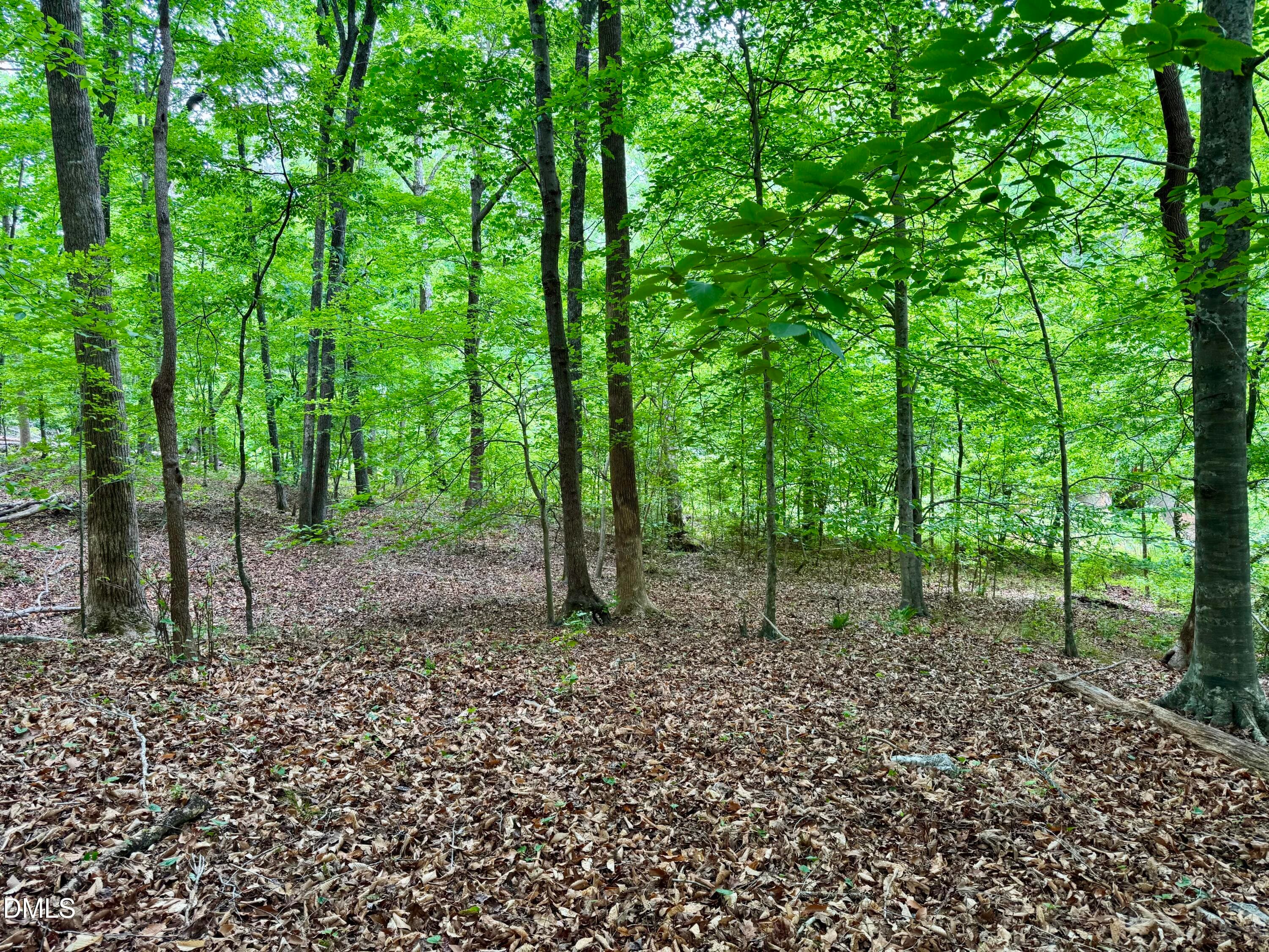 1025 Dairyland Rd. - Gentle Topography - 1025 Dairyland Road, Chapel Hill, NC 27516, Chapel Hill
