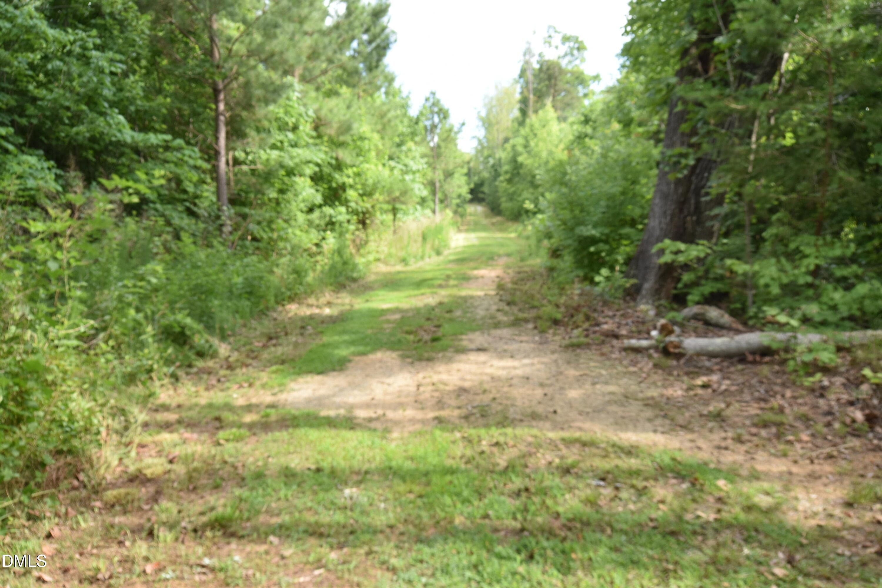 DSC_0363 - 1034 Paschal Road, Yanceyville, NC 27379, Yanceyville