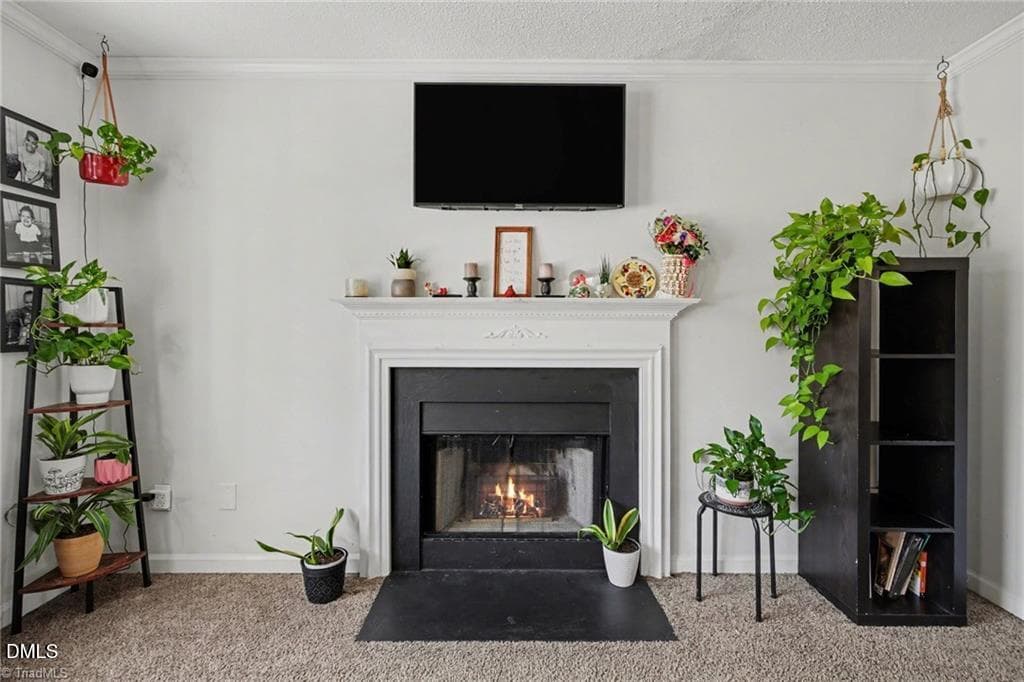 Riverdale fireplace - 3904 Riverdale Road, Greensboro, NC 27406