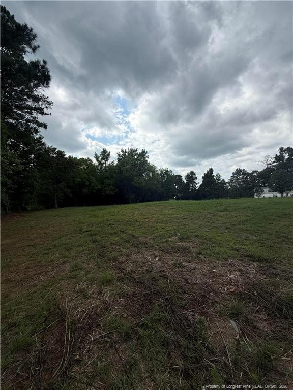 Photo 2 - Carroll Store Road, Autryville, NC 28318