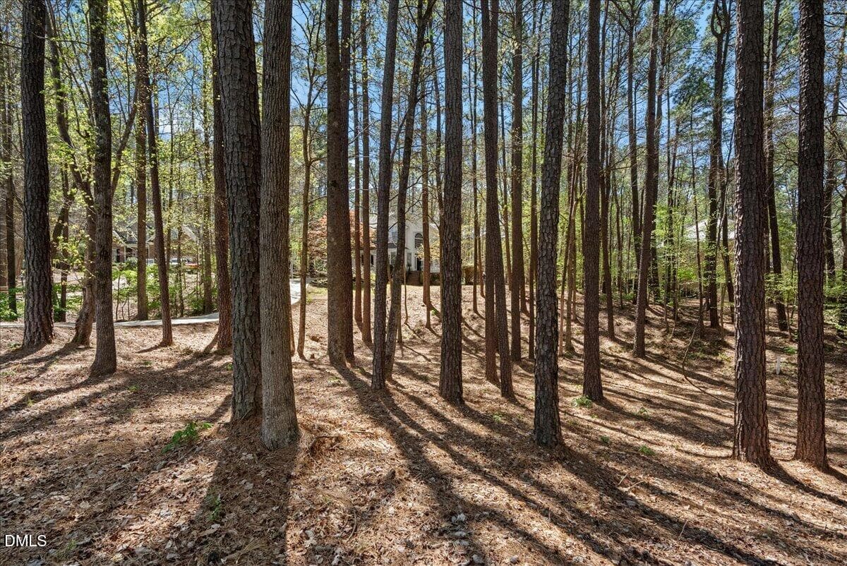71-DSC03675 - 2509 Barton Ridge Court, Raleigh, NC 27613, Raleigh
