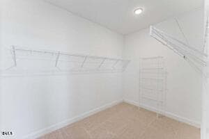 Julianne Primary Closet - 110 Byrum Street 302, Cary, NC 27511, Cary