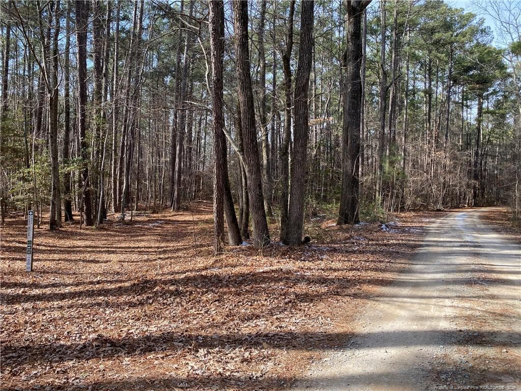 Photo 5 - Breezeway Lane, Carthage, NC 28327