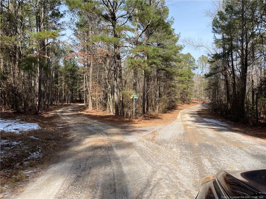 Photo 11 - Western Trail, Carthage, NC 28327