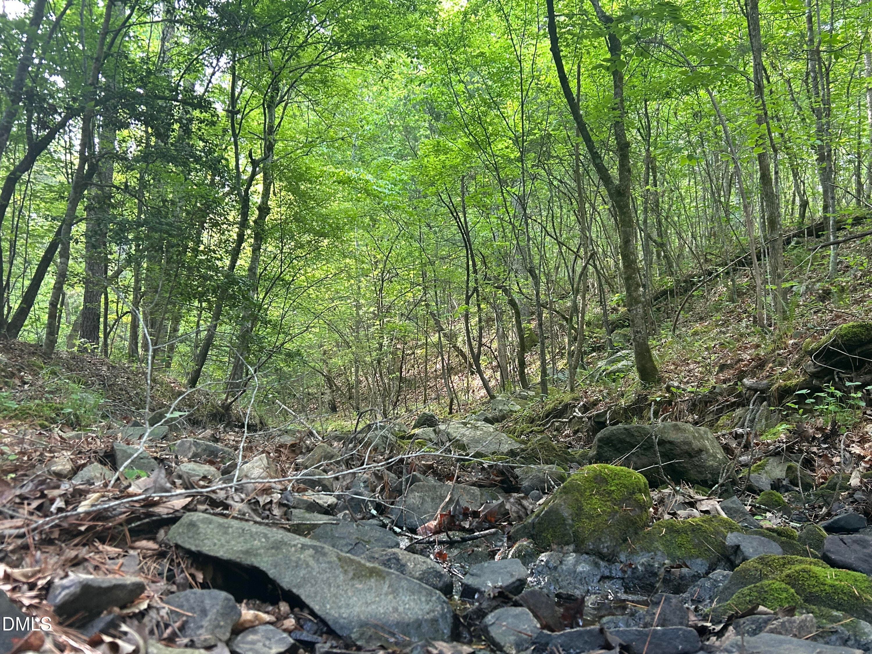 IMG_7662 - 0 Beaver Dam Road, Creedmoor, NC 27522
