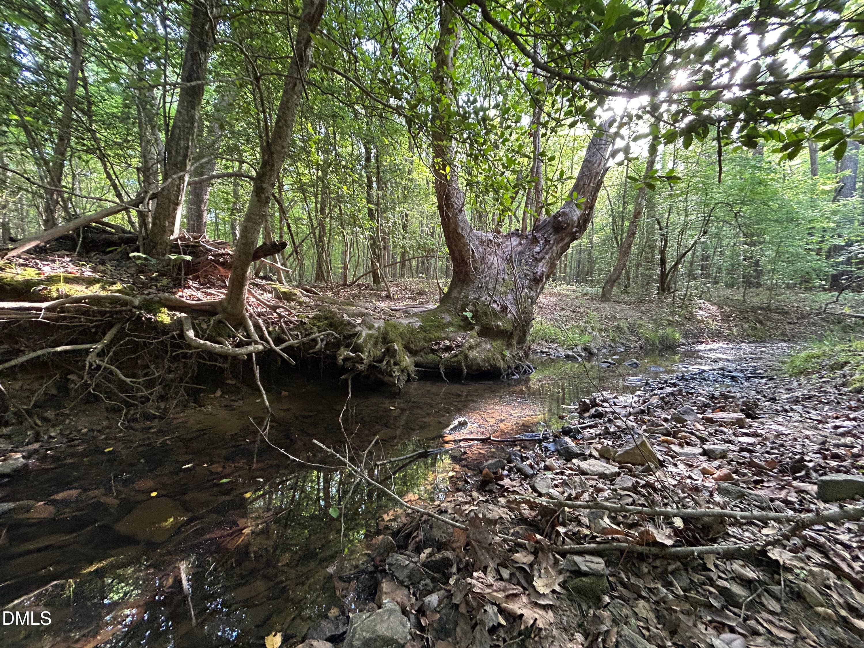 IMG_7655 - 0 Beaver Dam Road, Creedmoor, NC 27522