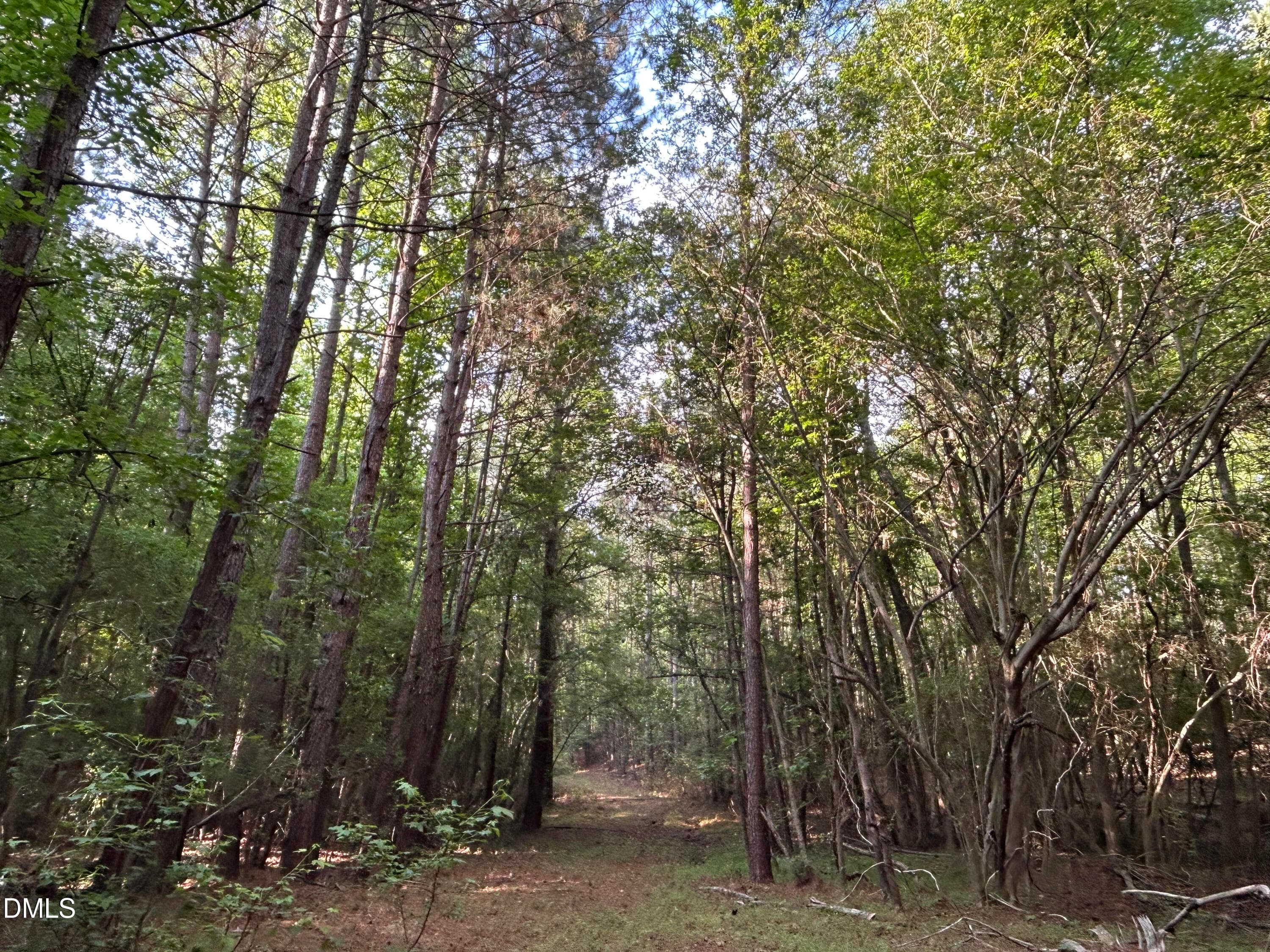IMG_7636 - 0 Beaver Dam Road, Creedmoor, NC 27522