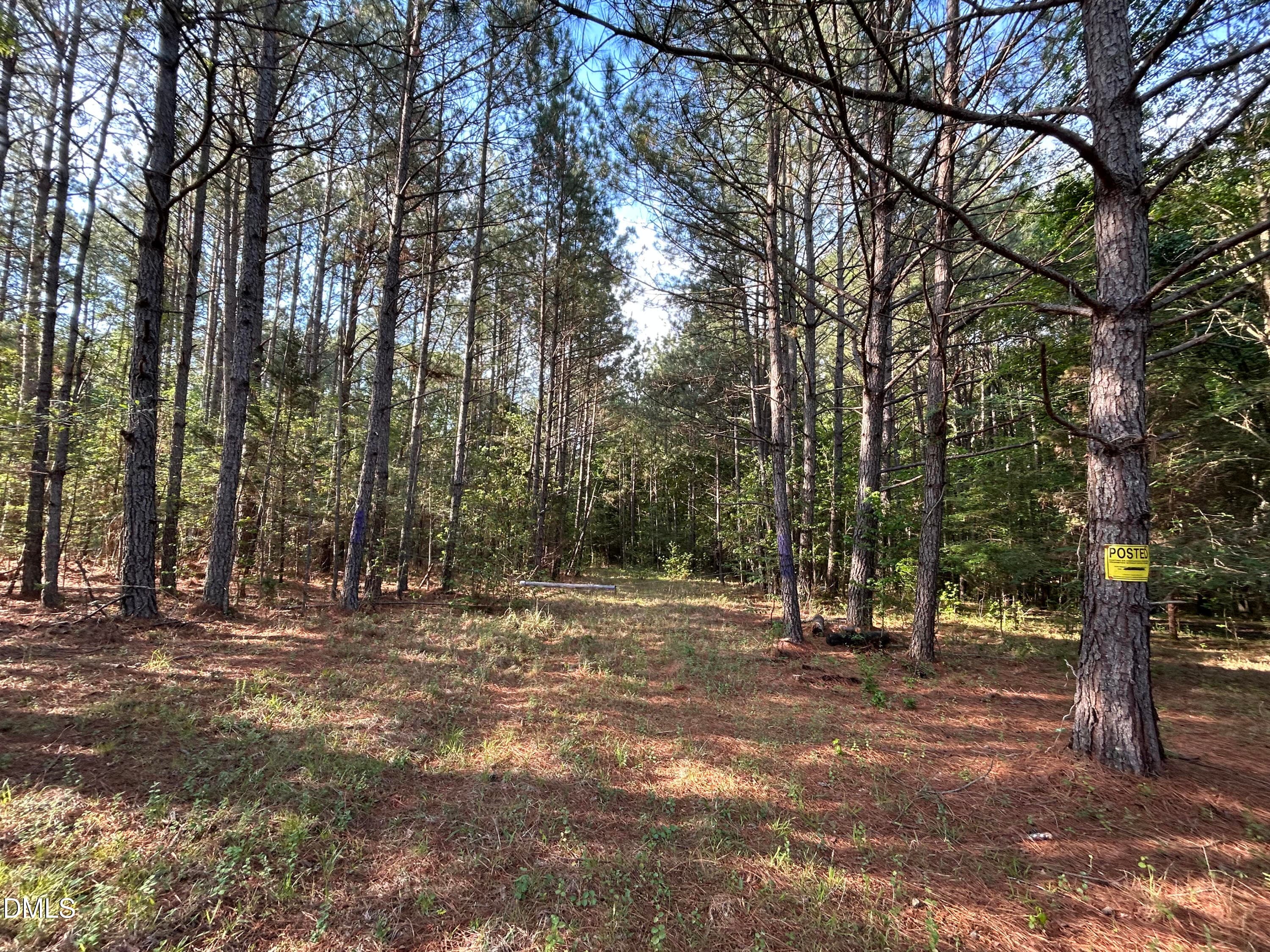 IMG_7633 - 0 Beaver Dam Road, Creedmoor, NC 27522