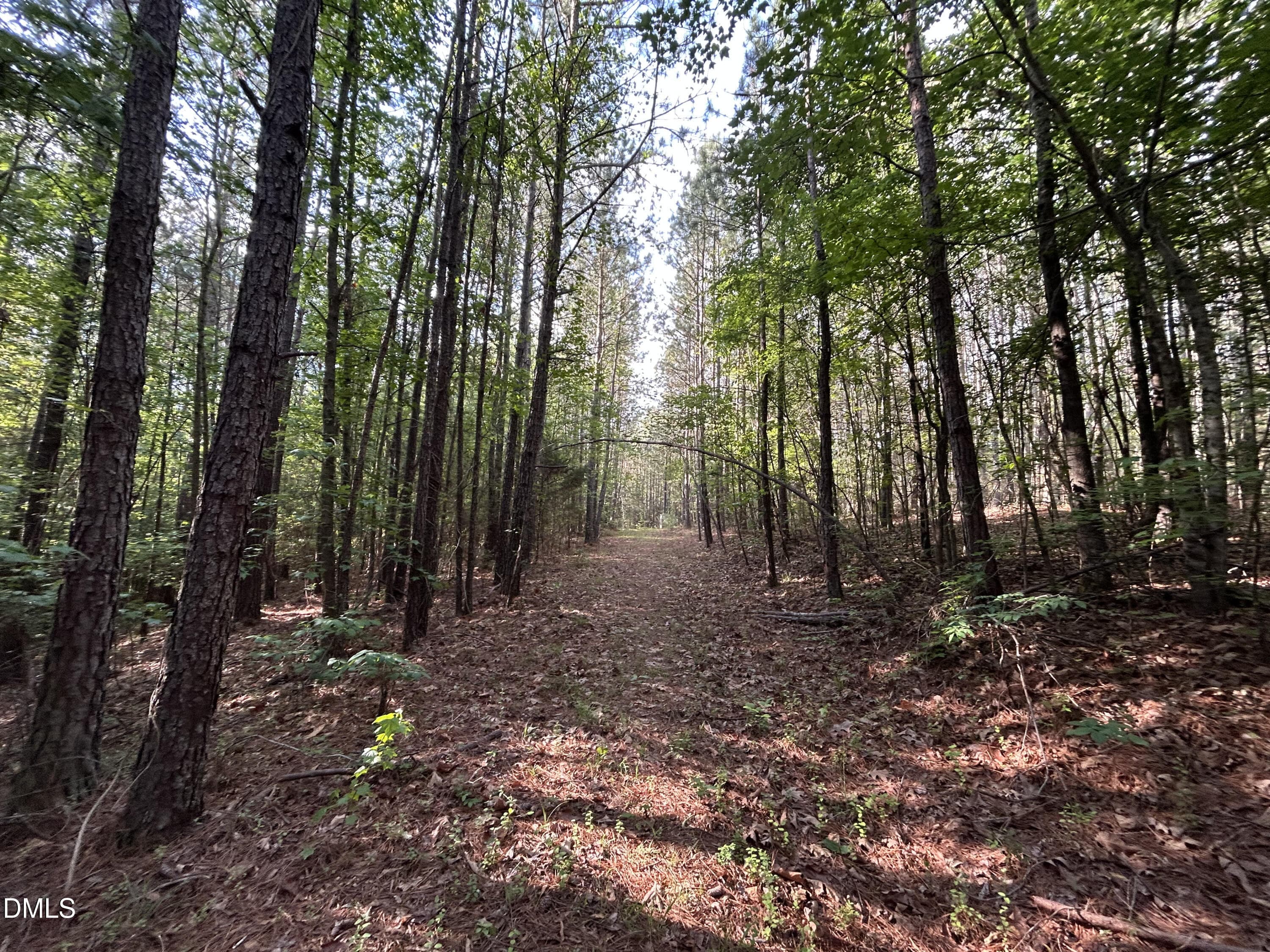 IMG_7639 - 0 Beaver Dam Road, Creedmoor, NC 27522