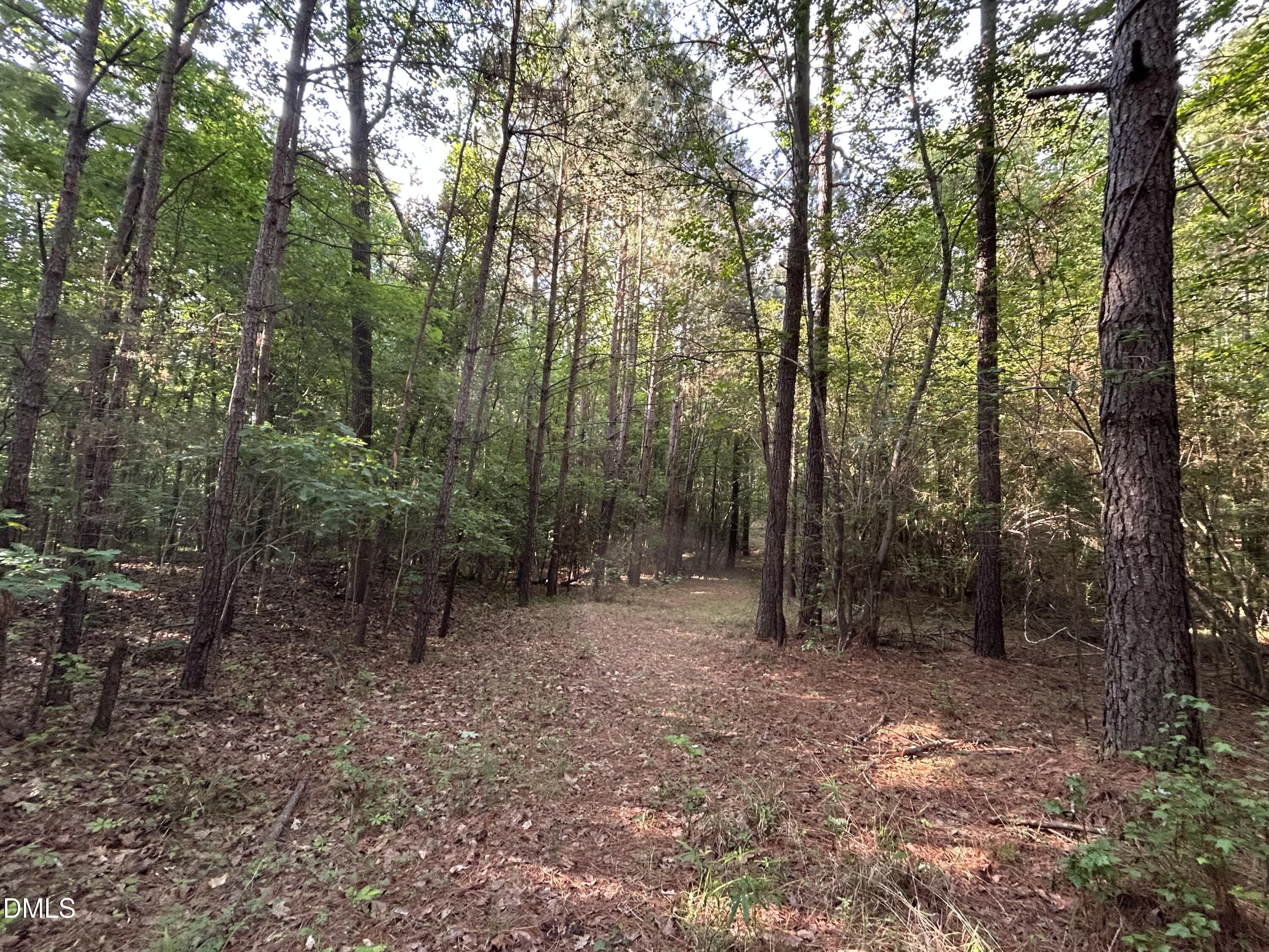IMG_7634 - 0 Beaver Dam Road, Creedmoor, NC 27522