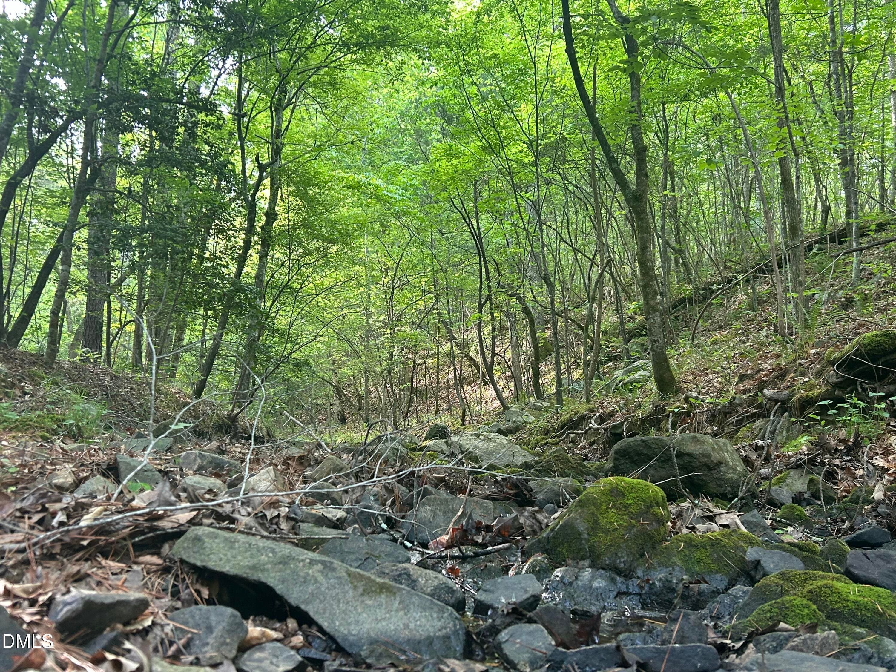 IMG_7662 - 0 Beaver Dam Road, Creedmoor, NC 27522