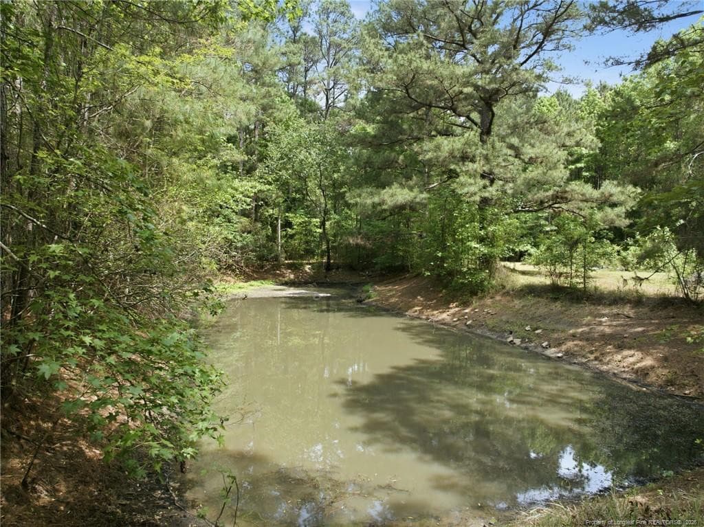 Photo 47 - 634 Watts Road, Lumberton, NC 28360