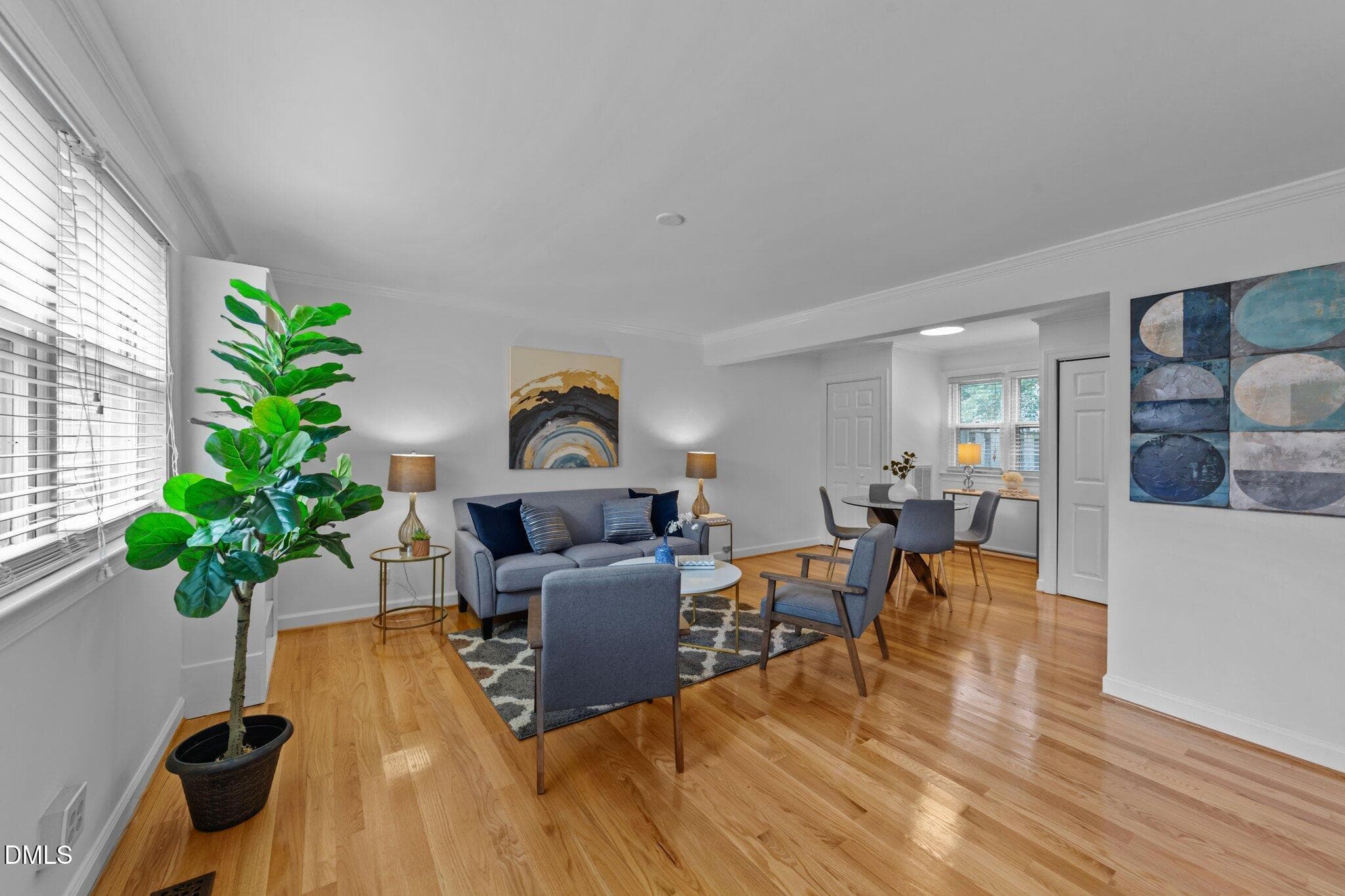 13-web-or-mls-VB4A0503 - 1103 Nichols Drive, Raleigh, NC 27605, Raleigh
