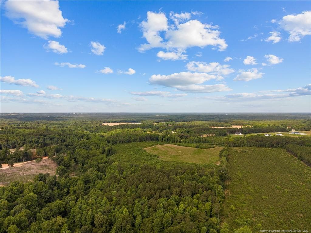 Photo 10 - Leaflet Church Road, Lillington, NC 27546