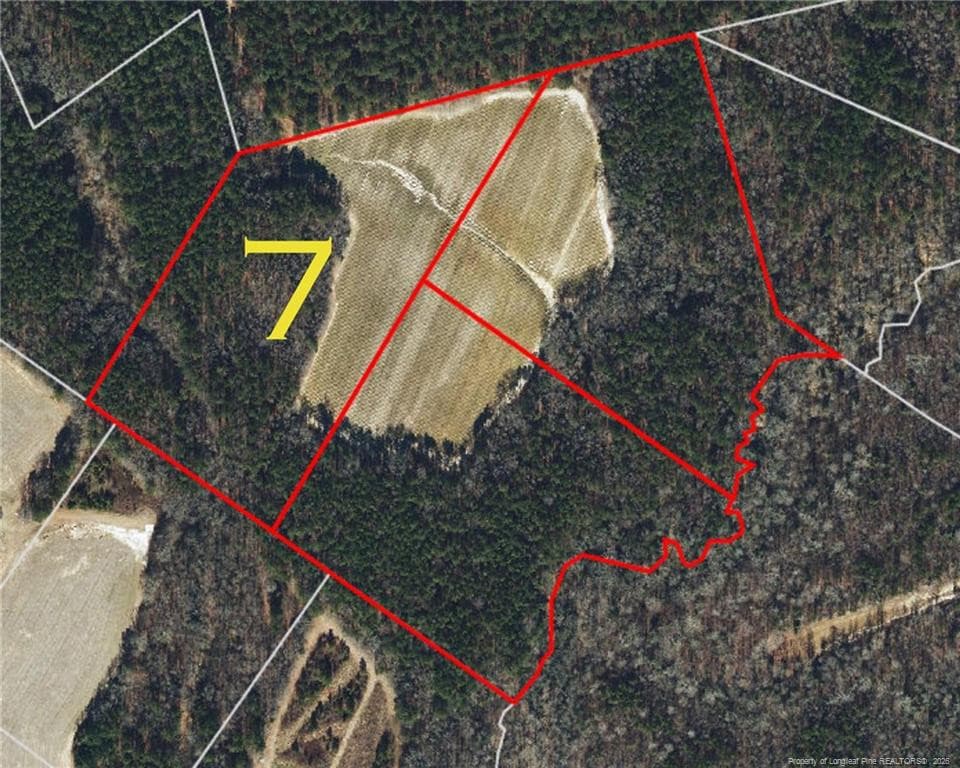 This Plot of Land - Leaflet Church Road, Lillington, NC 27546