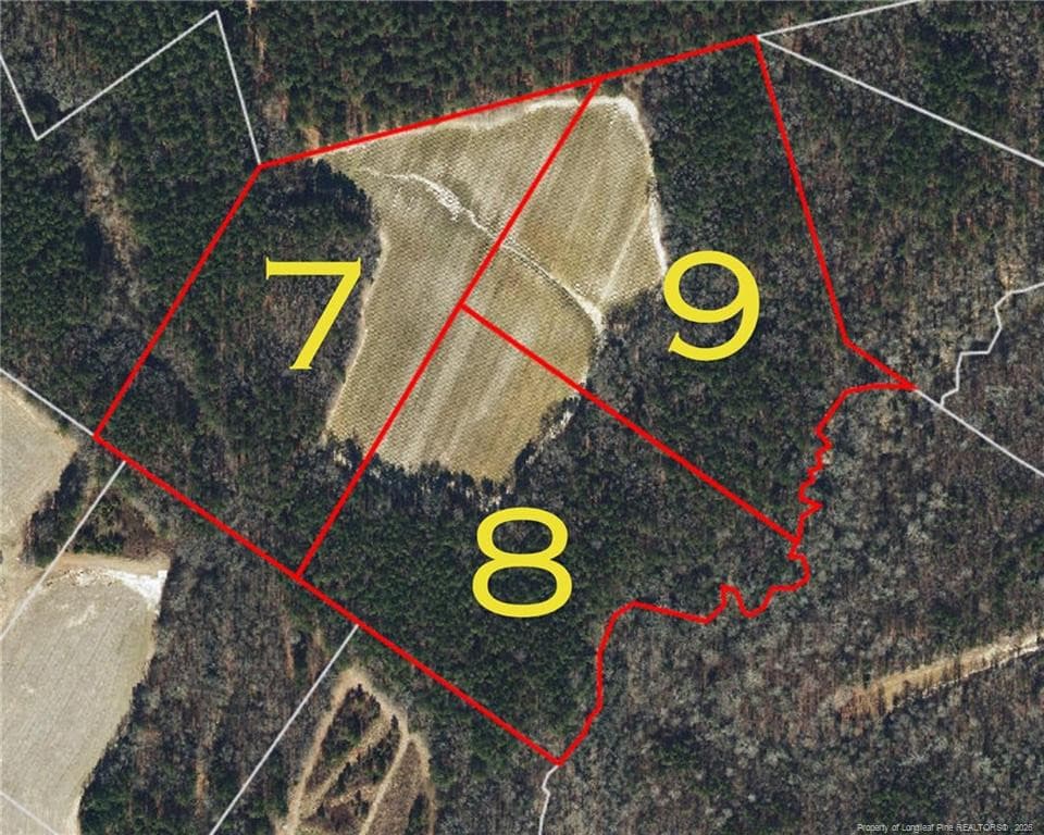 All Plots of land - Leaflet Church Road, Lillington, NC 27546
