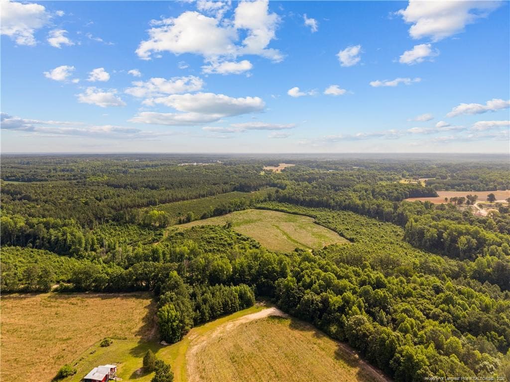 Photo 18 - Leaflet Church Road, Lillington, NC 27546