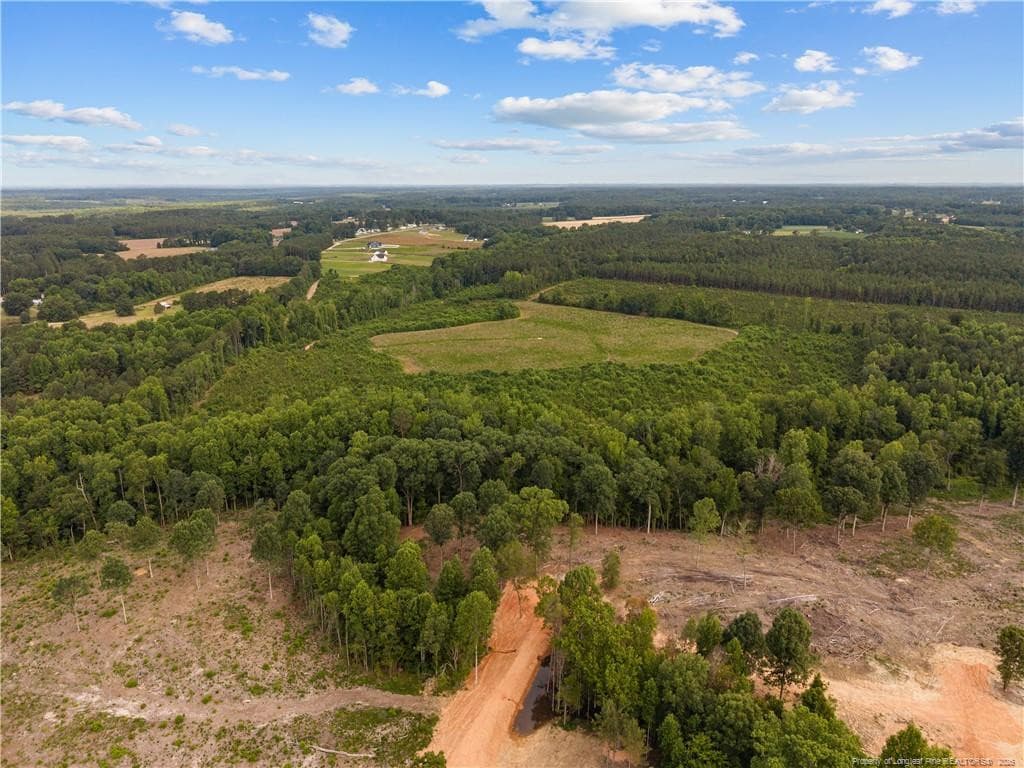 Photo 6 - Leaflet Church Road, Lillington, NC 27546