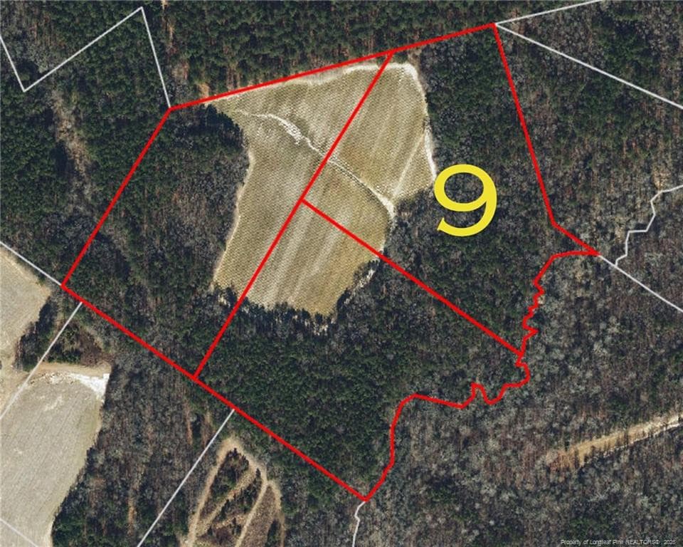 Photo 19 - Leaflet Church Road, Lillington, NC 27546