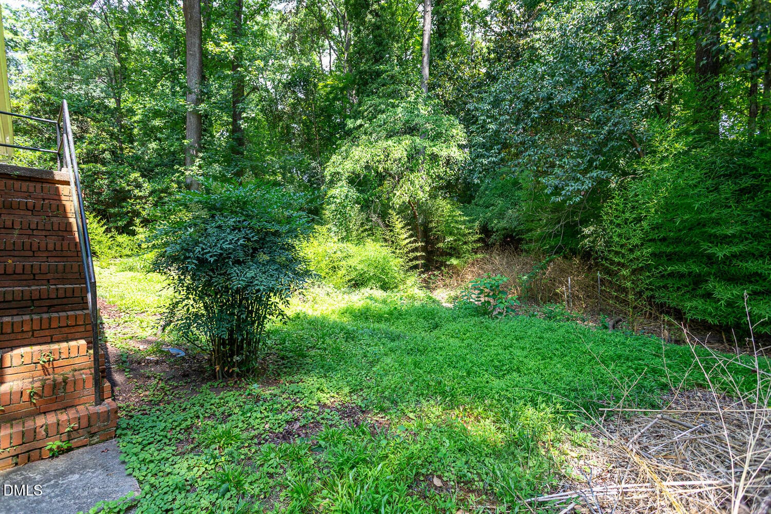 machikas-2602-wade-8 - 2602 Wade Avenue, Raleigh, NC 27607, Raleigh