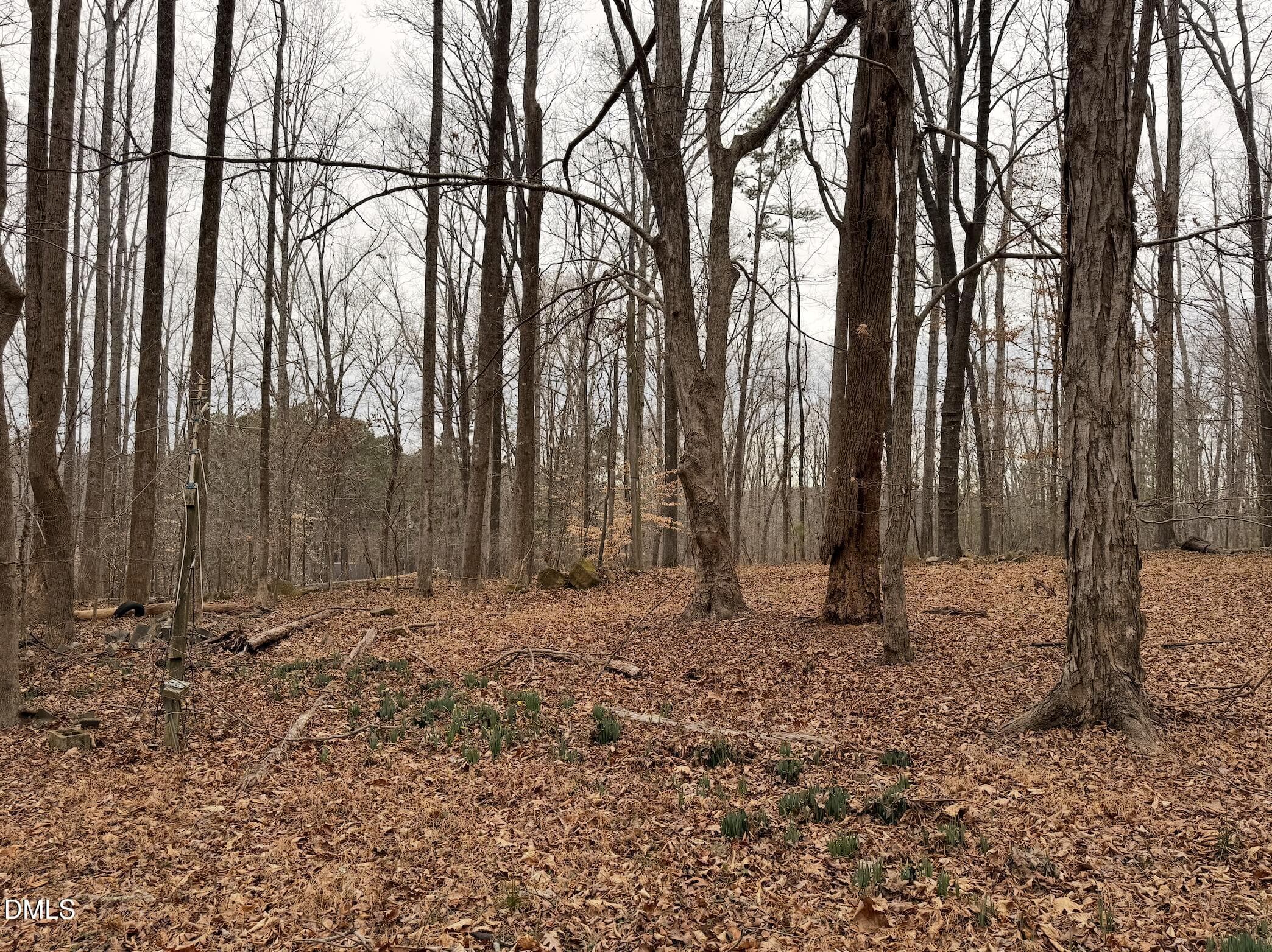 Exterior Rear - 1753 Old Lystra Road, Chapel Hill, NC 27517, Chapel Hill