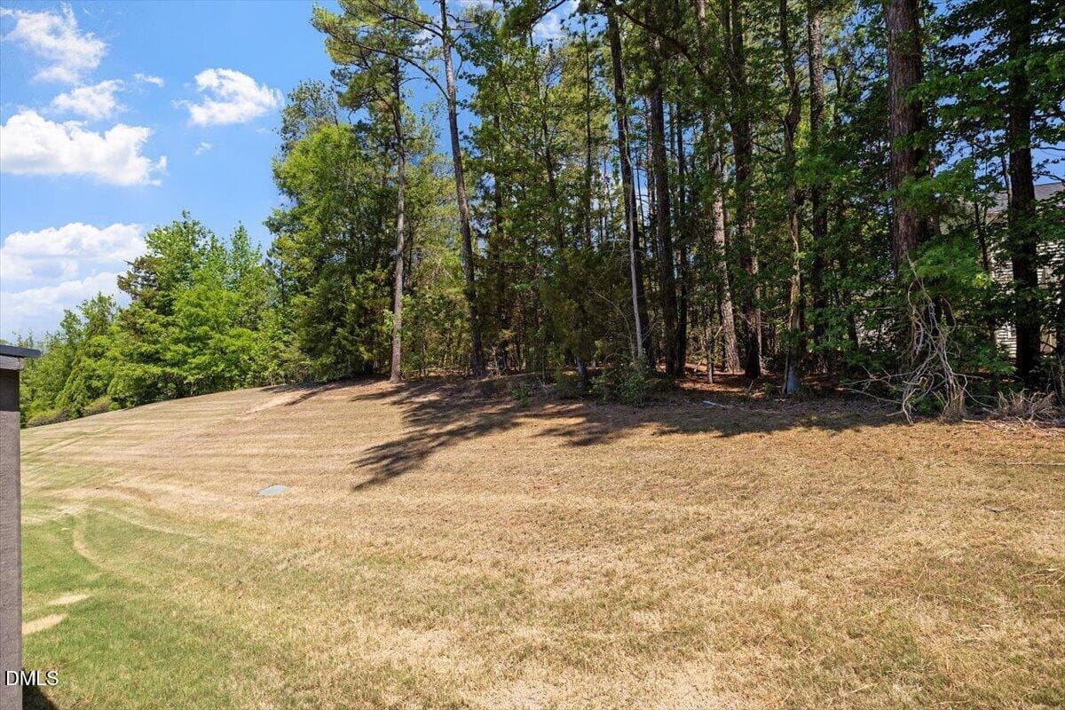 View from Back of Home Left - 115 Golden Meadow Court, Durham, NC 27704, Durham