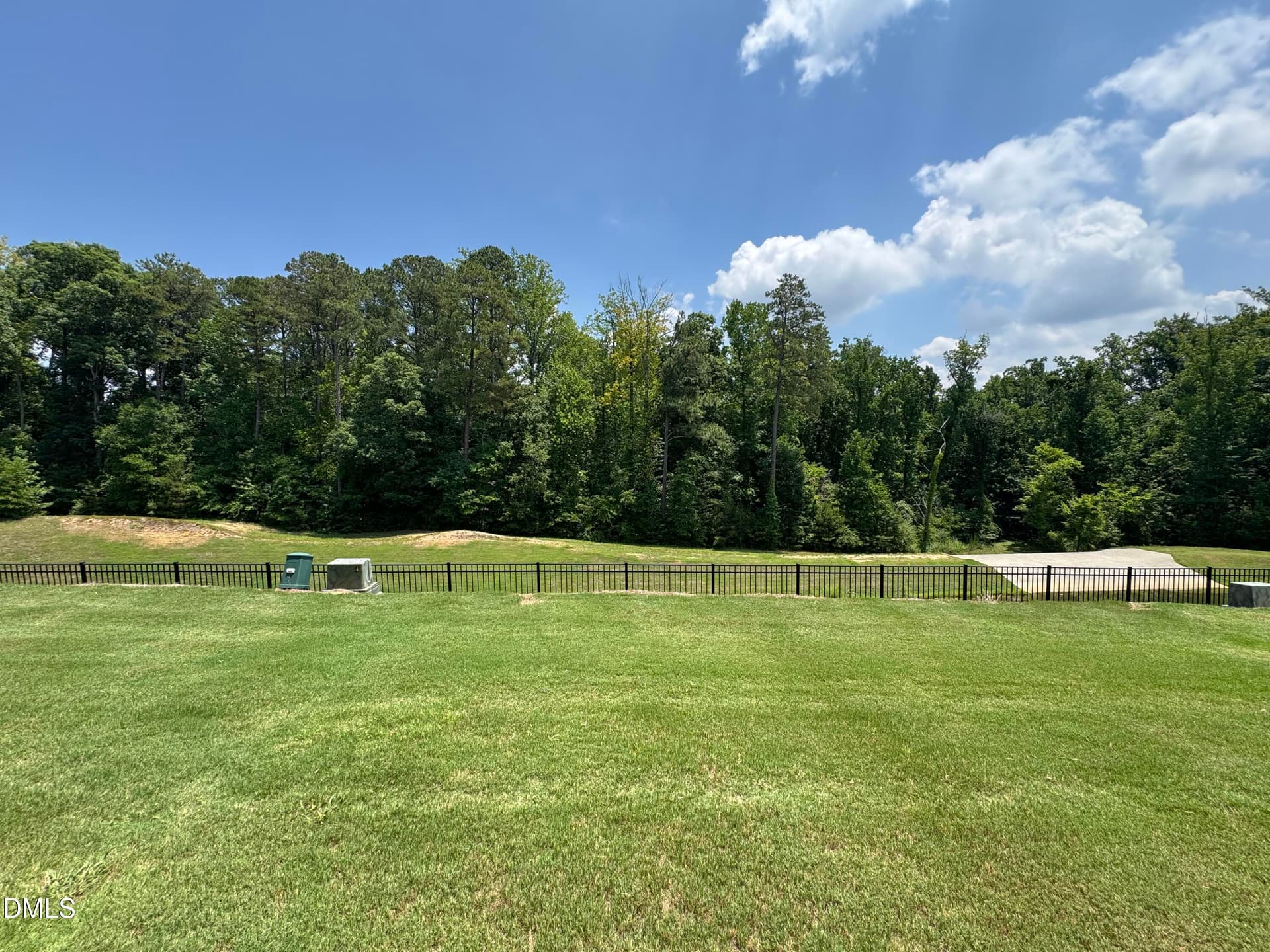 IMG_9622 - 1017 Brownsmith Drive, Apex, NC 27502