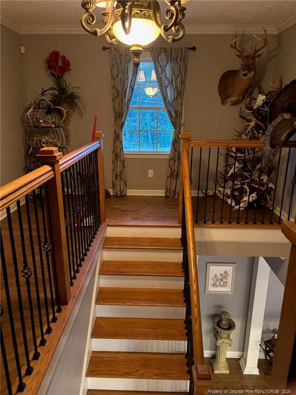 Photo 29 - 3744 NC HWY 210 Highway, Harrells, NC 28444