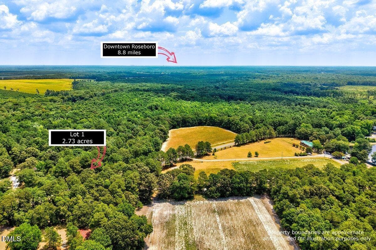 Lot 1 POI2 - Lot 1 Ruth Vinson Road, Autryville, NC 28318