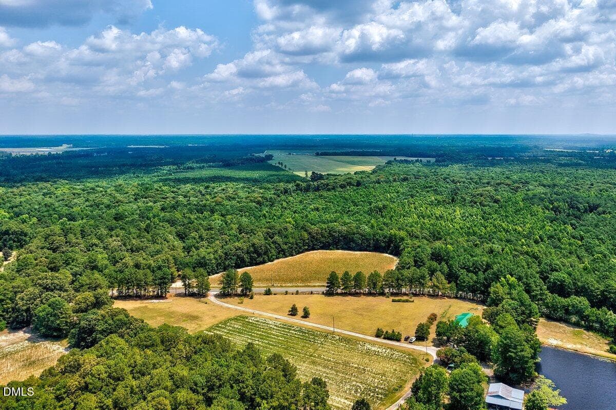 Ruth Vinson Rd-1 - Lot 1 Ruth Vinson Road, Autryville, NC 28318