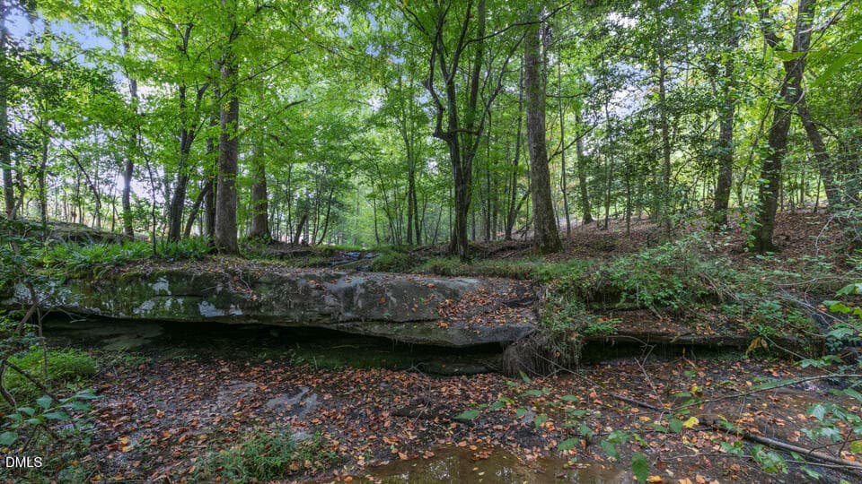 kalas-falls-waterfall-attack-002 - 413 Falls Bluff Drive, Wake Forest, NC 27587