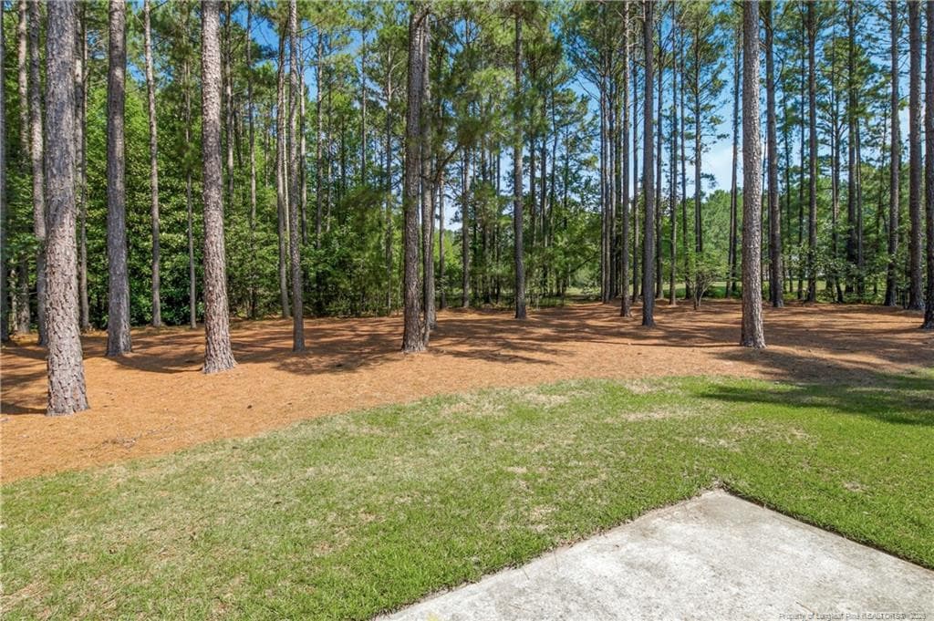 Photo 40 - 11 Rolling Pines Drive, Spring Lake, NC 28390