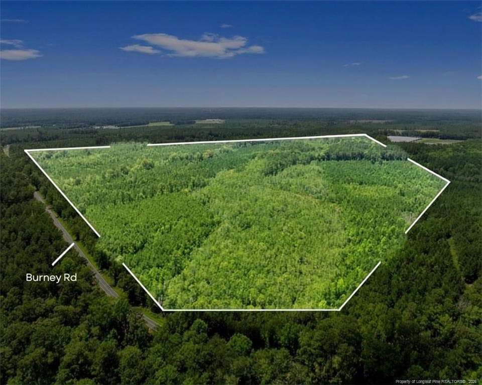 Burney Road, White Oak, NC 28399