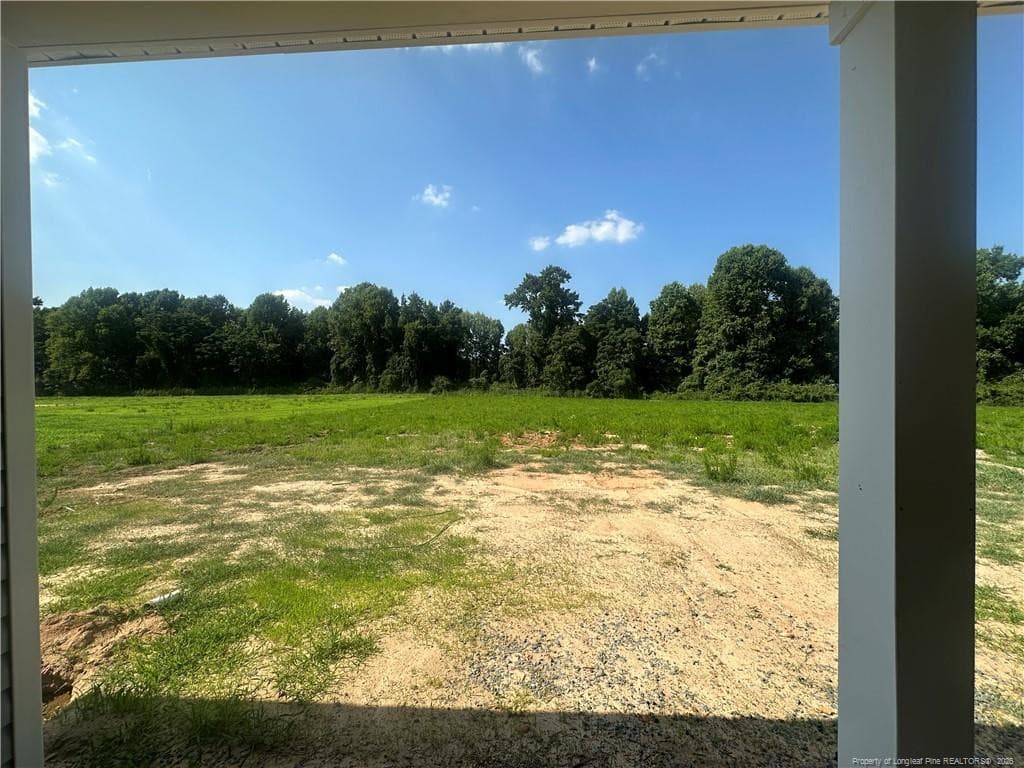 Photo 6 - 147 Margot Manor Drive, Benson, NC 27504