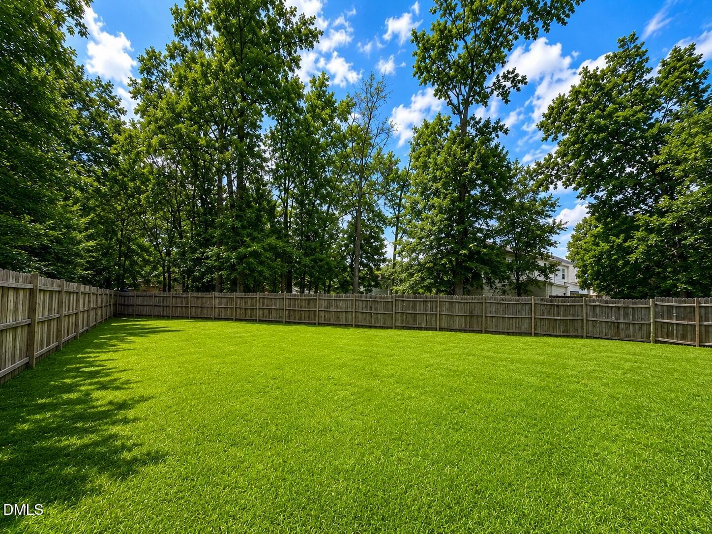 back yard - 8113 Wynewood Drive, Raleigh, NC 27616, Raleigh