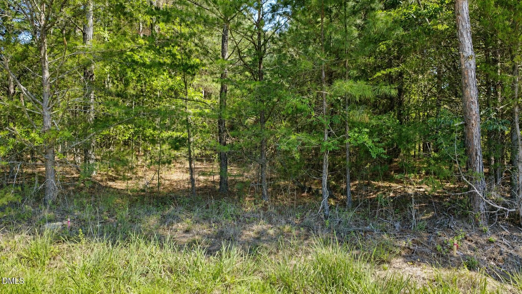 acreage timberlake nc - 0 Weldon Painter Road, Timberlake, NC 27583